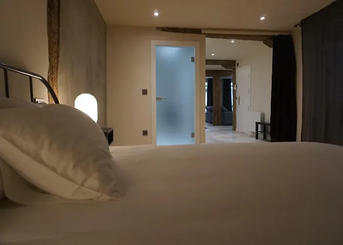 Апартаменты Loft 7calles, Casco Viejo. Bio *